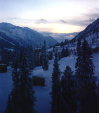 Snowbird vista